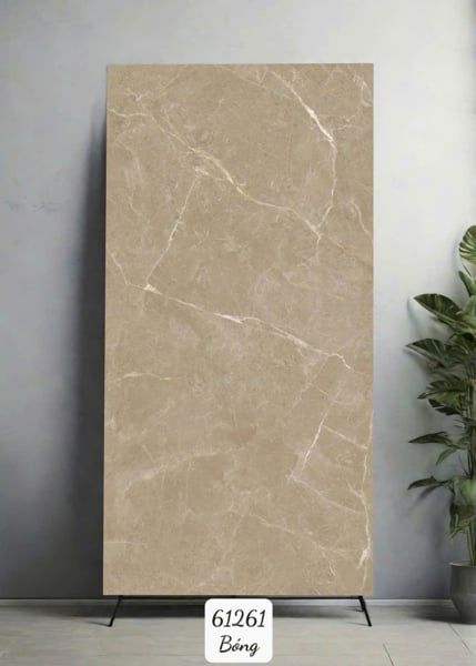  60*120 61261 Gạch ốp lát đá bóng kính Ấn Độ (2v/th/1,44m) 