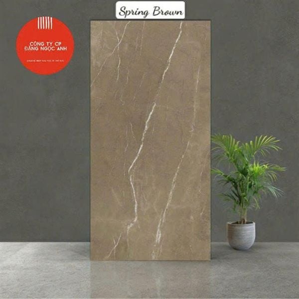  60*120 Sping Brown Gạch Đá th/4v/1.44m 