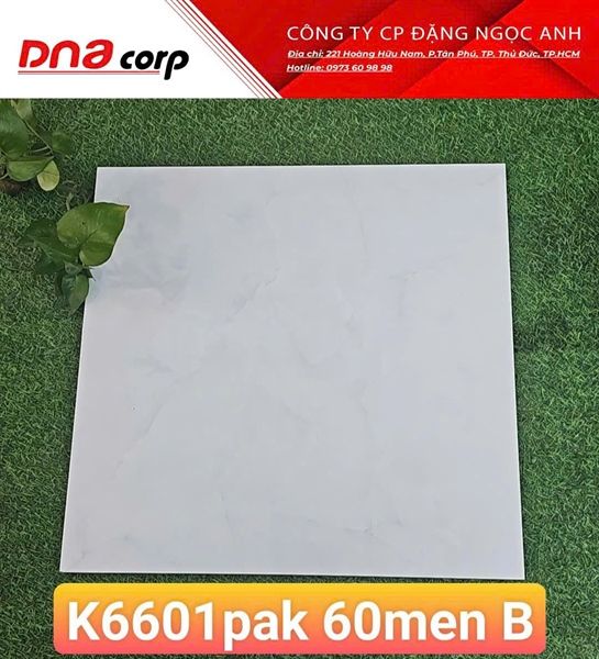 gach men bóng pak 60x60 k6601 thùng 5v/1.8met loại B 