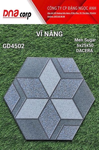  6x25x50 GD4502 Gạch Men Lục Giác 