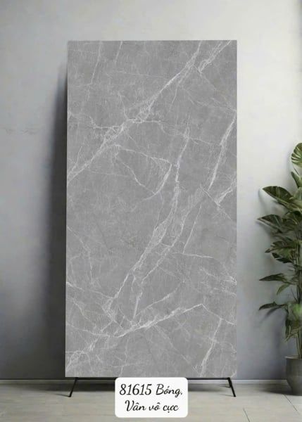  80*160 81615 Gạch ốp lát khổ lớn Ấn Độ 