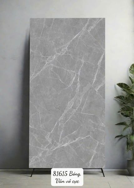  80*160 81615 Gạch ốp lát khổ lớn Ấn Độ 