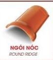 Ngói nóc có gờ alapha 001 (kt 240x300x15/ 10v/th) Đồng Tâm 