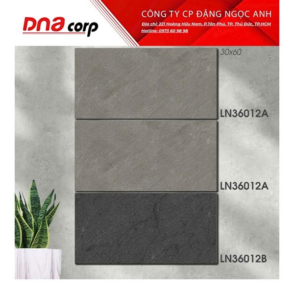 30*60 LN36012A Gạch ốp tường Nhạt đá mờ (1.44m/8v/ th) 