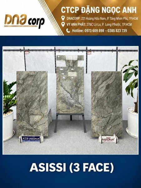  60*120 ASISSI GẠCH ỐP LÁT CAO CẤP VIDONA(1.44M/2V/TH) 