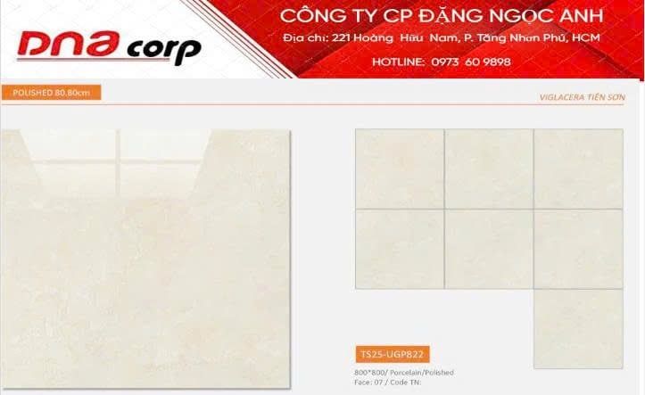  80*80 TS25-UGP822 Gạch đá bóng kính Viglacera (3v/th/1.92m) 