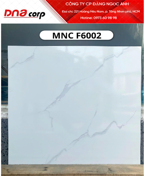  60*60 F6002 Gạch lát nền Men bóng ý mỹ (4v/th/1.44m) 