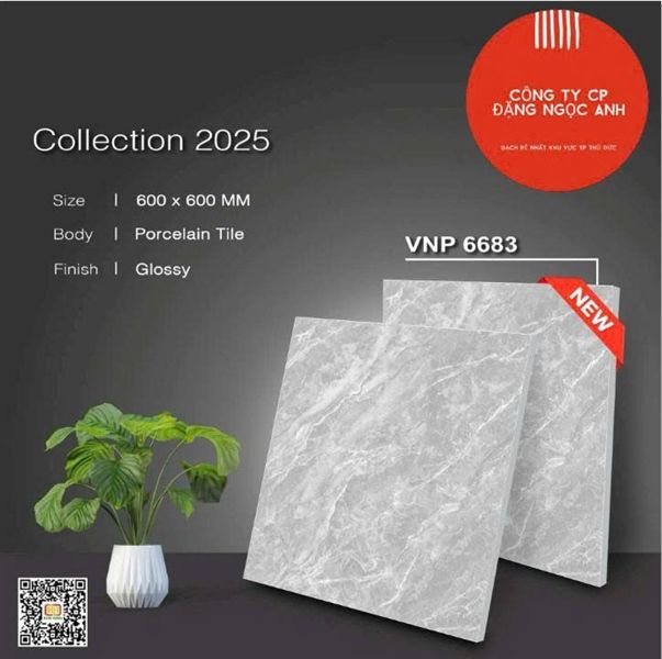  đá bóng 60*60 1.8/5v/th vnp6683 loại A vân xám pancera 