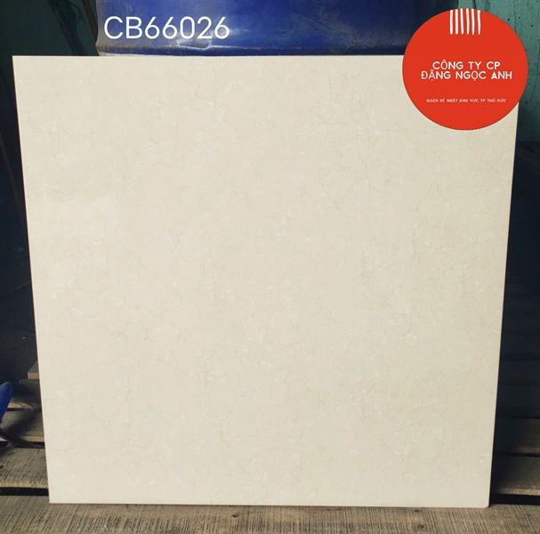  60*60 CB66026 gạch lát nền men (1.44m/4v/th) 