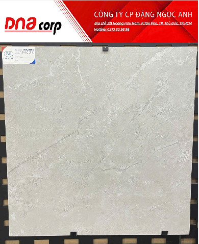 60*60 TM621 gạch ốp lát đá mờ ( 4 viên/th/1.44 mét) 
