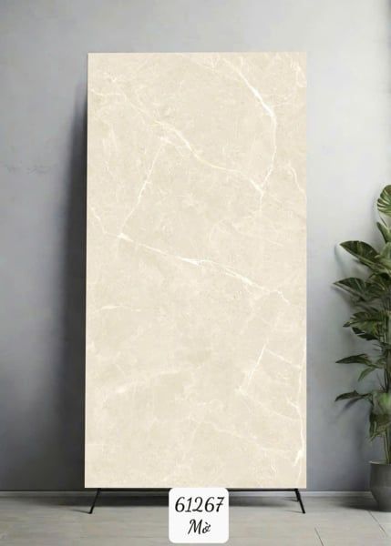  60*120 61267 Gạch ốp lát đá mờ siêu bóng Ấn Độ (2v/th/1,44m) 