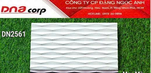  25*50 DN2561 Gạch trang trí men mờ (12v/th/1.5m) 