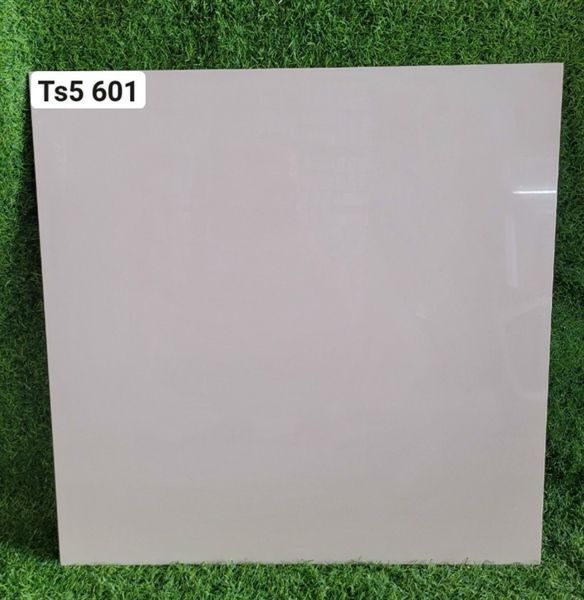  lát nền 60*60 ts5-601viglacera 2da 