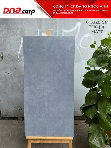  3518 1F Gạch Ấn Độ 60x120 