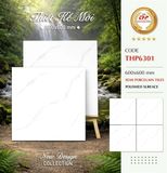  60*60 THP6301 Gạch lát nền đá bóng kính Pancera (5v/1.8m/th) 