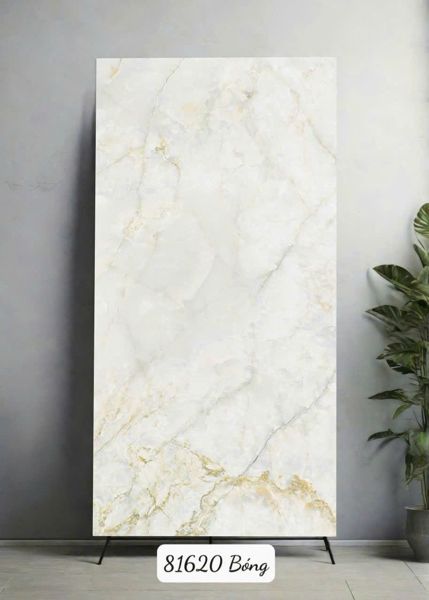  80*160 81620 Gạch ốp lát khổ lớn Ấn Độ 