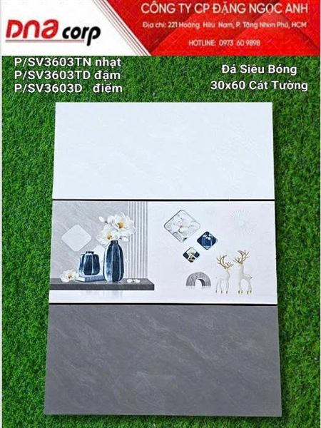  30*60 SV3603D Gạch ốp đá bóng kính Viên điểm (1.44m/8v/th) 