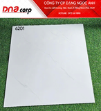  men bóng 60x60pak 6201dna th5v/1.8m loại 1 