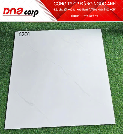  men bóng 60x60pak 6201dna th5v/1.8m loại 1 
