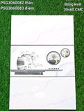  30*60 Psg30600082 Gạch ốp tường đá bóng kính (1.44m/8v/th) 