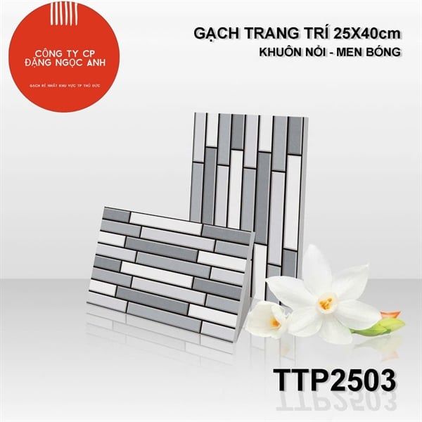  25x40 TTP2503 Gạch Men Trang Trí th/1m 
