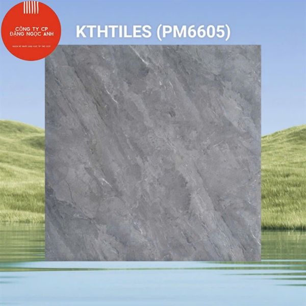  60x60 PM6605 Gạch Đá Mờ 
