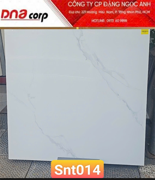  100*100 SNT10014 Gạch lát nền khổ lớn (2v/th) vân đá trắng 