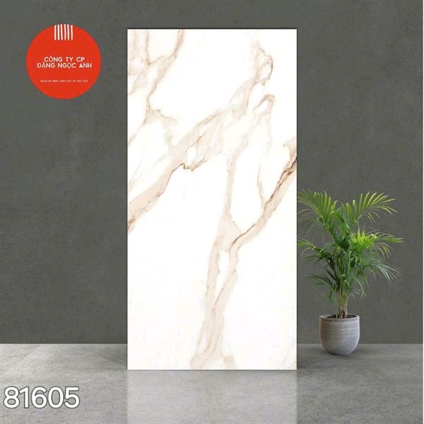  Gạch 81605 Ấn Độ 80×160 