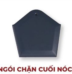  Ngói chặn cuối nóc alapha 00 (KT:187*182*12 ) Đồng Tâm 