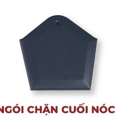  Ngói chặn cuối nóc alapha 00 (KT:187*182*12 ) Đồng Tâm 