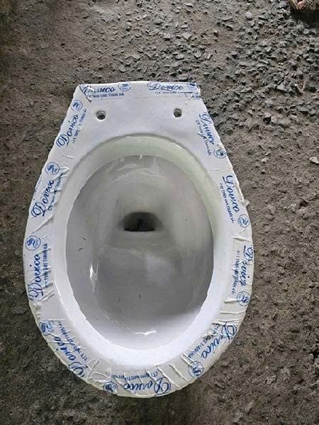  cầu cụt dococera có nắp thường 