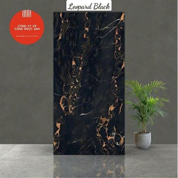  60*120 Leopark Black Gạch Đá th/2v/1.44m 