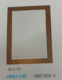  gương soi 50*70 HBS1-740 đã giảm 
