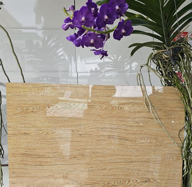  đá bóng kiếng vân gỗ 60x60 bk pp6609 pancera loại 1 