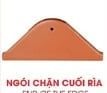  Ngói chặn cuối rìa TITAN001(KT: 190*80*14/ 10v/th) Đồng Tâm 