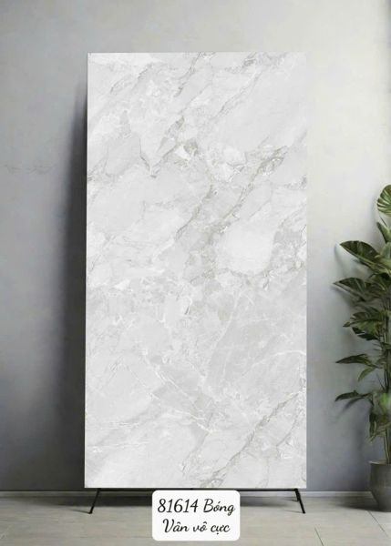  80*160 81614 Gạch ốp lát khổ lớn Ấn Độ 