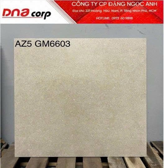  60*60 AZ5-GM6603 Gạch ốp lát đá mờ viglacera (1.44m/4v/th) 