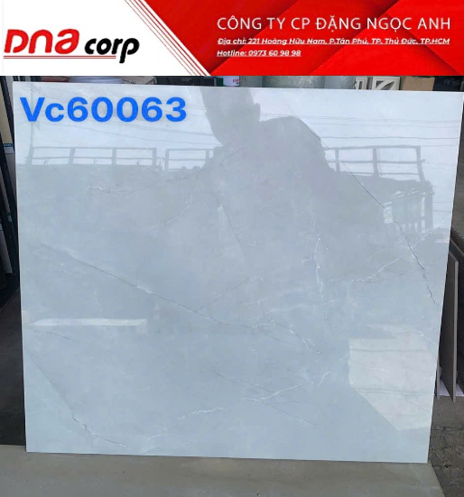  60*60 VC60063 gạch lát nền đá bóng kính Vicenza(1.44m/4v/th) 