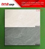  30x60 BS3629 Gạch Đá Mờ Viglacera 