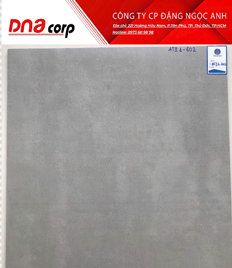  60*60 ATP602 Gạch bán xứ mờ viglacera 4v/th/1.44m G6001 