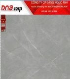  100*100 MT1002 Gạch khổ lớn đá bóng kính 