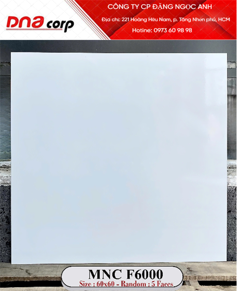  60*60 F6000 Gạch lát nền Men bóng Trắng trơn ý mỹ (4v/th/1.44m) 