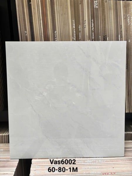  60*60 Vas6002 Gạch lát nền đá bóng (4/th/1,44m) 