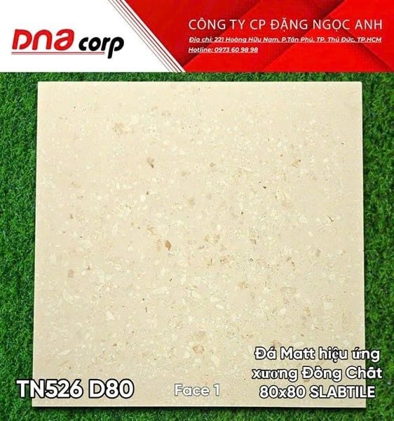  80x80 TN526 D80 Face 1 Đá Matt hiệu ứng xương đồng chất Stabtile 