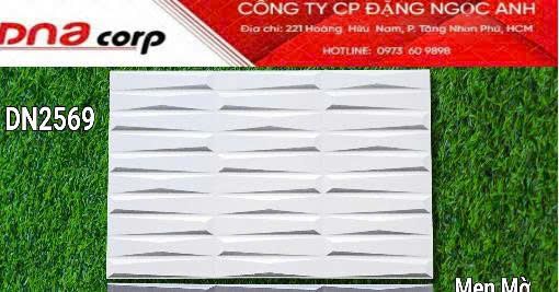  25*50 DN2569 Gạch trang trí men mờ (12v/th/1.5m) 