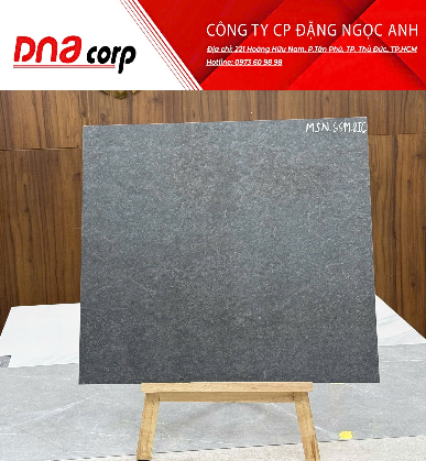  60*60 MSN66M gạch ốp lát ấn độ đá mờ ( 4 viên/th/1.44 mét) 