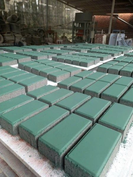  gạch tự chèn chữ nhật 10*20 màu vàng 50v/m 