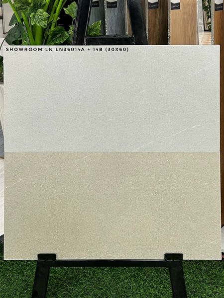  30*60 LN36014B Gạch ốp tường Đậm đá mờ (1.44m/8v/ th) 