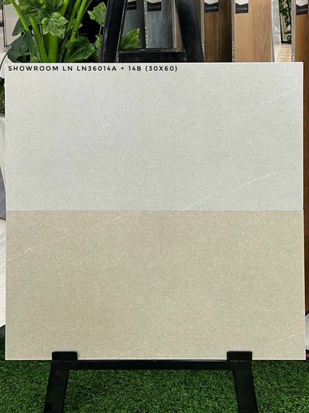  30*60 LN36014B Gạch ốp tường Đậm đá mờ (1.44m/8v/ th) 