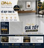  60*60 5642 Gạch lát nền đá bóng kính á mỹ (1.44m/4v/th) 